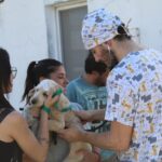 SAPAAB REALIZARÁ UNA NUEVA JORNADA DE CASTRACIÓN MASIVA EN EL BARRIO ZORZALES
