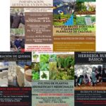 EL CEA Nº 8 DE IBARRA ABRIÓ LA INSCRIPCIÓN A SUS CURSOS GRATUITOS PARA MAYORES DE 16 AÑOS