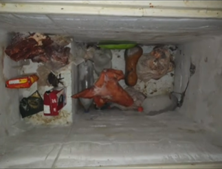 ESCLARECEN UN HECHO DE ABIGEATO EN ZONA RURAL DE BOLÍVAR