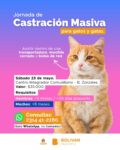 SAPAAB ORGANIZA UNA JORNADA DE CASTRACIÓN PARA PERROS Y GATOS ESTE SÁBADO 23 DE MAYO