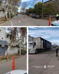 CAMIÓN DAÑÓ EL ARBOLADO PÚBLICO Y REABRIÓ EL DEBATE SOBRE EL TRÁNSITO PESADO EN LA CIUDAD