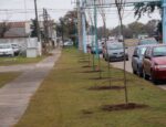 BETANCOUR SE EXPLAYÓ SOBRE LOS ÁRBOLES DEL HOSPITAL, LA PODA Y LA PLANTA DE MORA DE PLAZA ALSINA