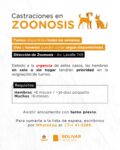 CONTINÚA ABIERTA LA INSCRIPCIÓN PARA CASTRACIONES DE PERROS Y GATOS EN ZOONOSIS
