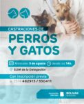 NUEVA JORNADA DE CASTRACIONES PARA PERROS Y GATOS EN PIROVANO