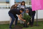 PLANTARON UN JAZMÍN POR ANITA LÍNARES: UNA HUELLA DE AMOR, SOLIDARIDAD Y VIDA