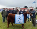 ANGUS Y SHORTHORN BRILLARON CON SUS GRANDES CAMPEONES EN LA 97ª EXPO RURAL