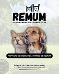 PROPONEN CREAR EL REGISTRO MUNICIPAL DE MASCOTAS EN BOLÍVAR